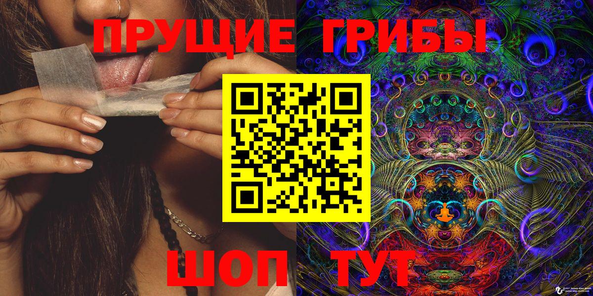 Галлюциногенные грибы Psilocybe  закладки  Тобольск  Вход с VPN 